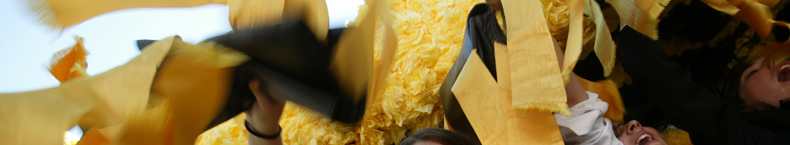 banner_