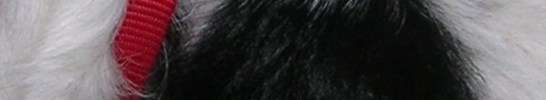 banner_01