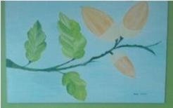 Exposicao_Guimaraes_2Class