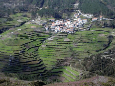 postal_1
