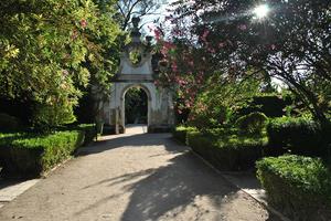 Ciência no Botânico 17