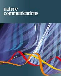 A shared neural code for the physics of actions and object events.