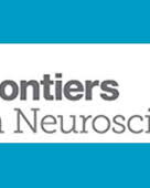 Loss of action-related function and connectivity in the blind extrastriate body area.