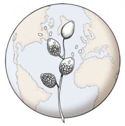 Korea Forest Research Institute, Seoul