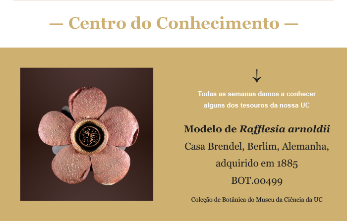 Centro do Conhecimento 22 de abril