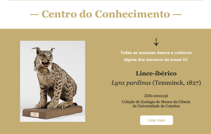 Centro do Conhecimento 27 maio