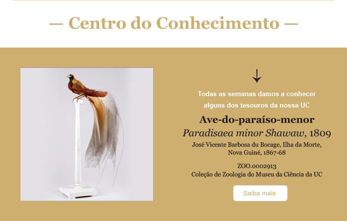 CC 200 ave do paraiso