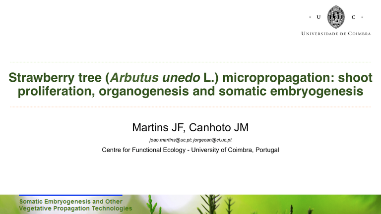 IUFRO 09.2014 prev