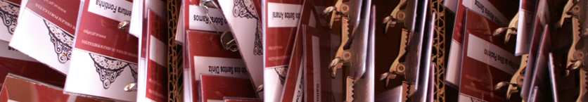 Imagem de apresentação do subsite